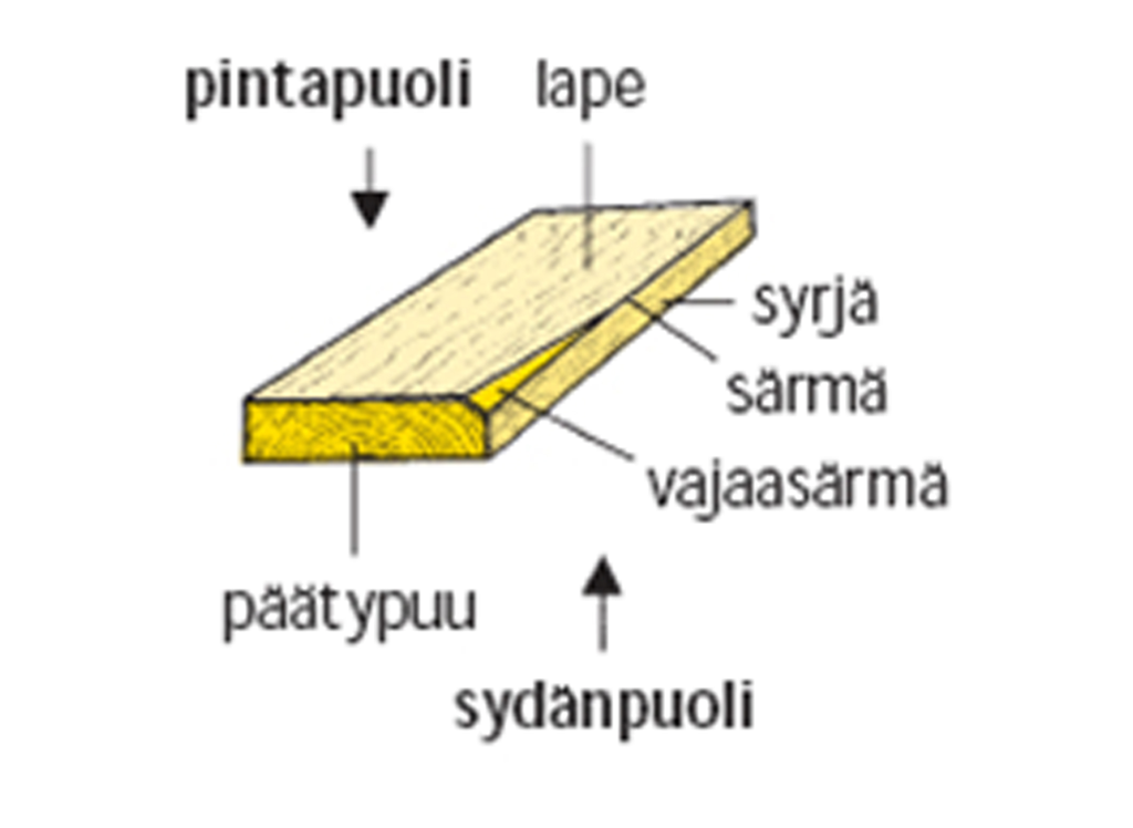Sahatussa puutavarassa on eri osia, mm. pintapuoli, lape, syrjä, särmä.